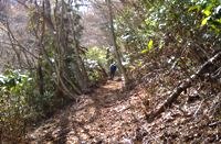 落ち葉の絨毯の登山道