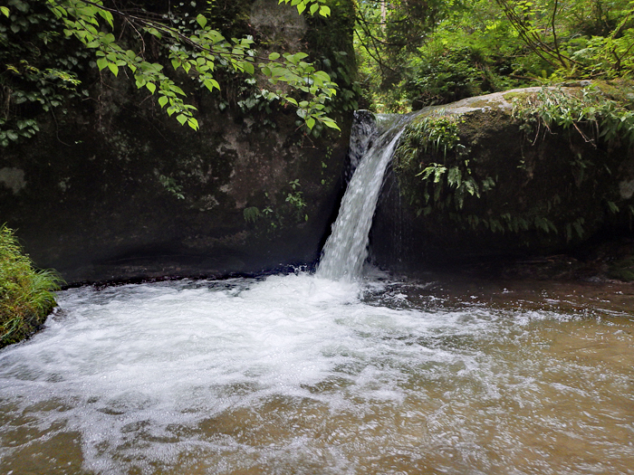 写真をクリックで拡大します