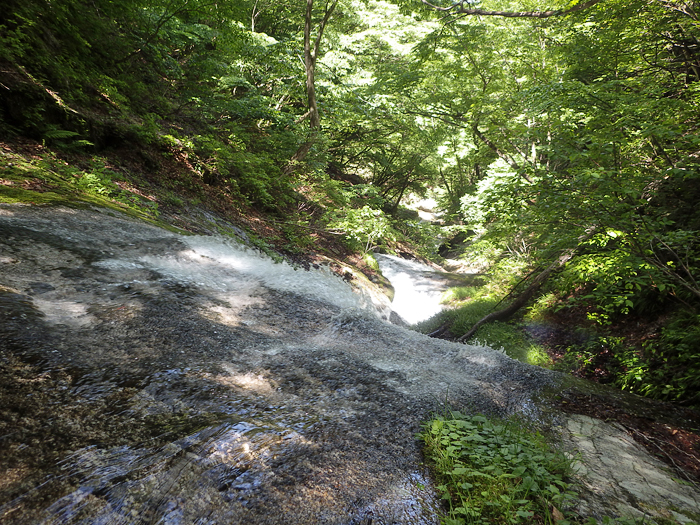 写真をクリックで拡大します