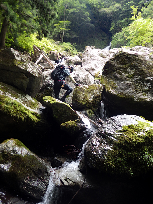 写真をクリックで拡大します