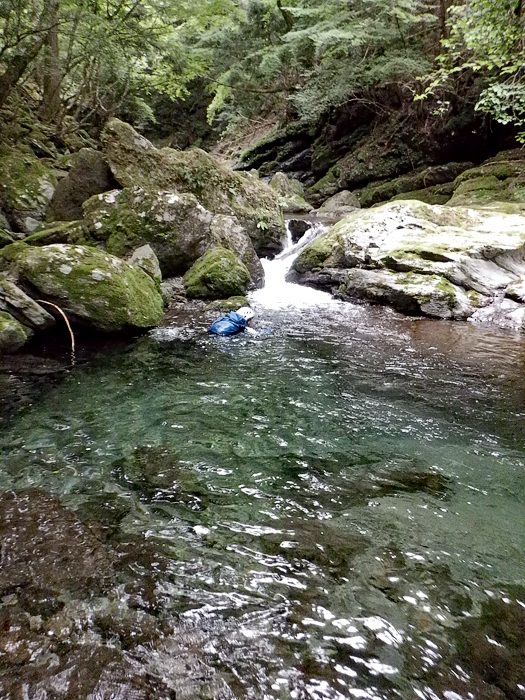 写真をクリックで拡大します