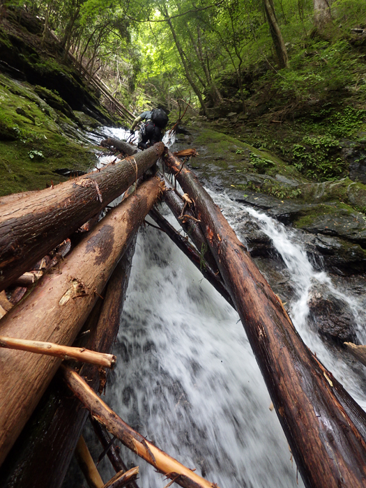 写真をクリックで拡大します