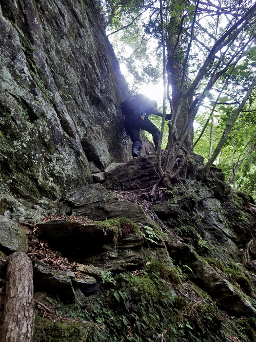 写真をクリックで拡大します