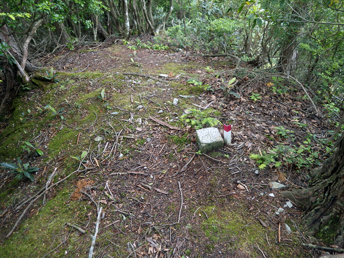 写真をクリックで拡大します