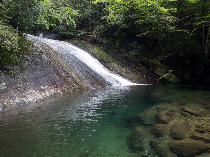 写真をクリックで拡大します