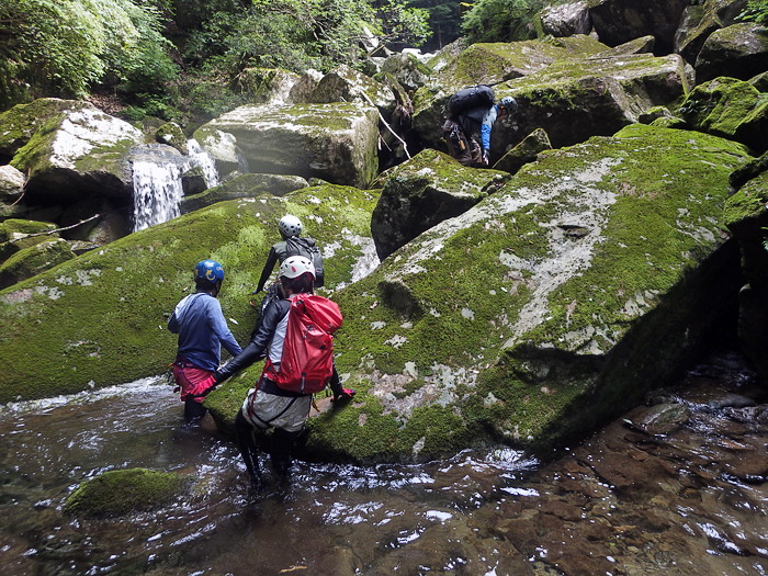 写真をクリックで拡大します