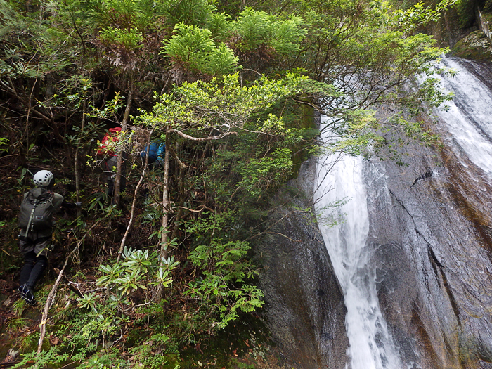 写真をクリックで拡大します