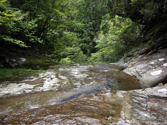 写真をクリックで拡大します