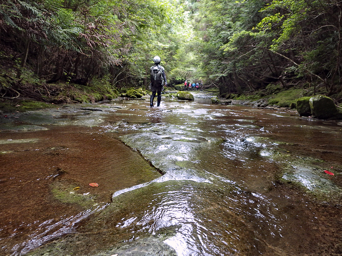 写真をクリックで拡大します