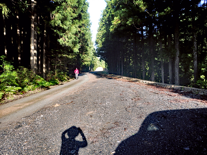 写真をクリックで拡大します