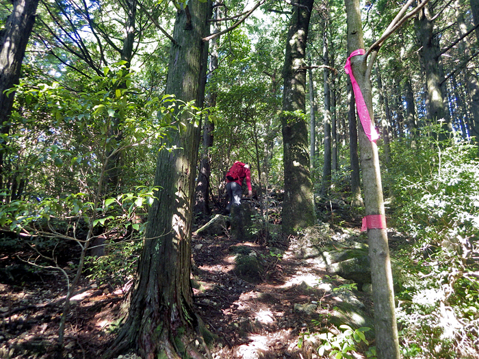 写真をクリックで拡大します