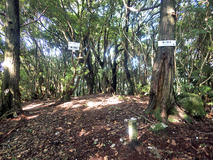 写真をクリックで拡大します