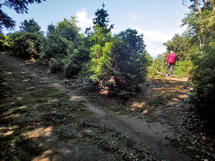 写真をクリックで拡大します