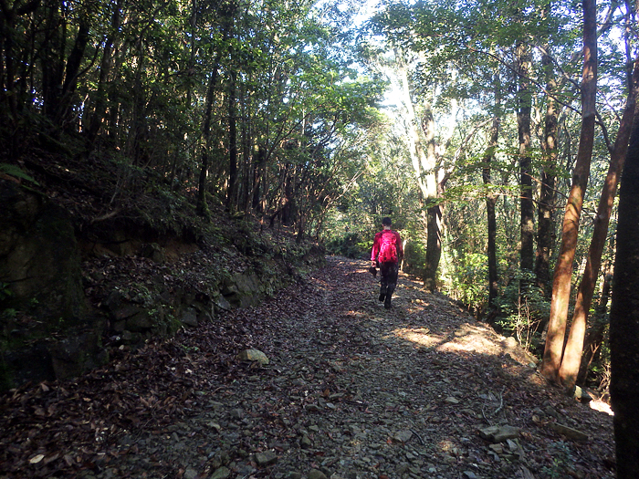 写真をクリックで拡大します