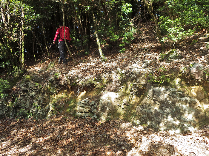 写真をクリックで拡大します