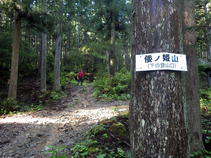 写真をクリックで拡大します