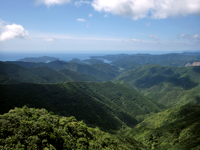 写真をクリックで拡大します
