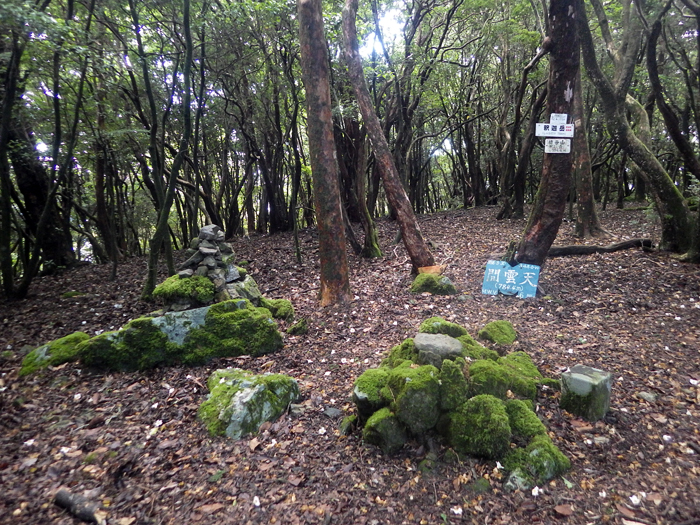 写真をクリックで拡大します