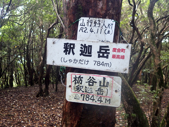 写真をクリックで拡大します