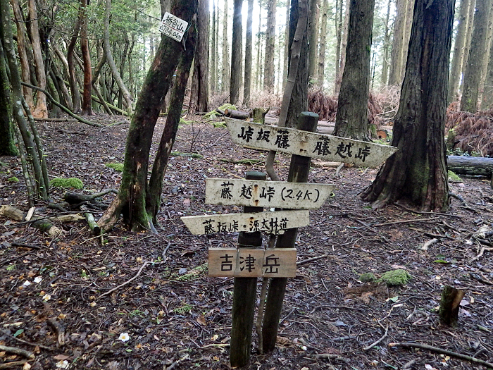 写真をクリックで拡大します