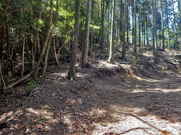 写真をクリックで拡大します