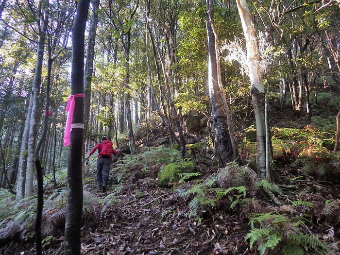 写真をクリックで拡大します