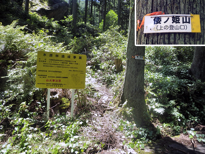 写真をクリックで拡大します