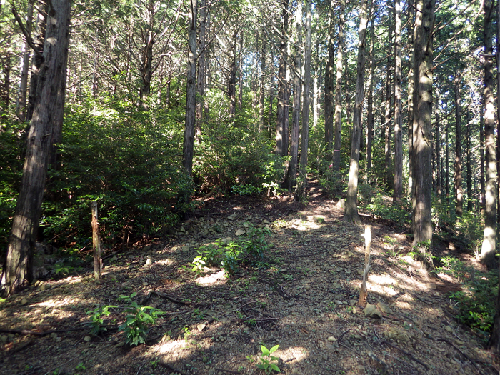 写真をクリックで拡大します