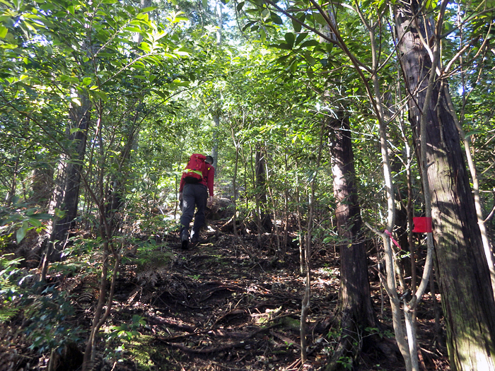 写真をクリックで拡大します