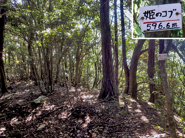 写真をクリックで拡大します