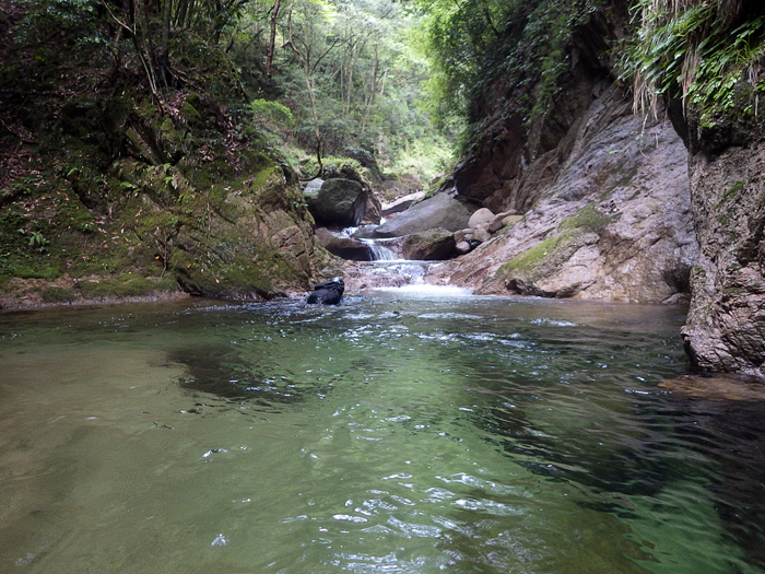 写真をクリックで拡大します