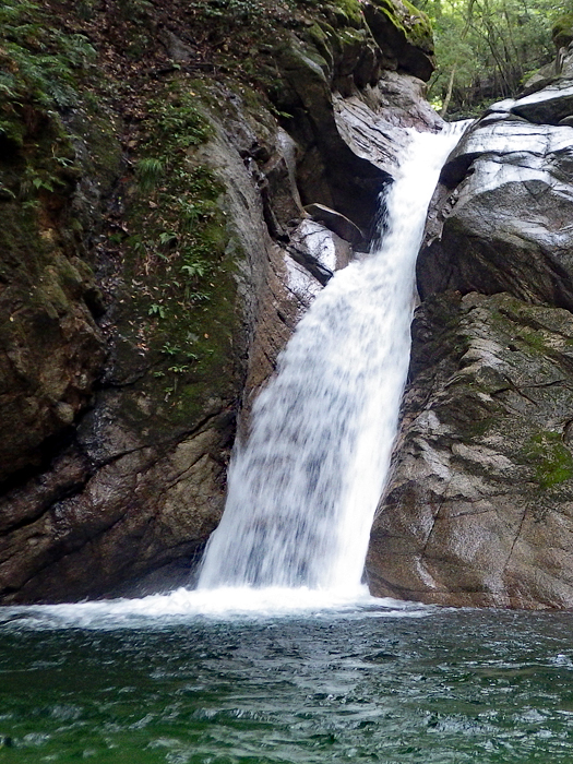 写真をクリックで拡大します