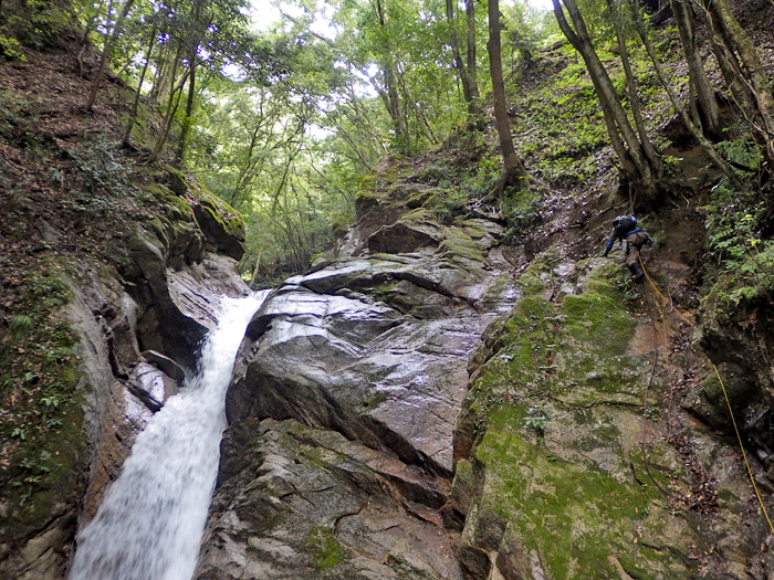 写真をクリックで拡大します