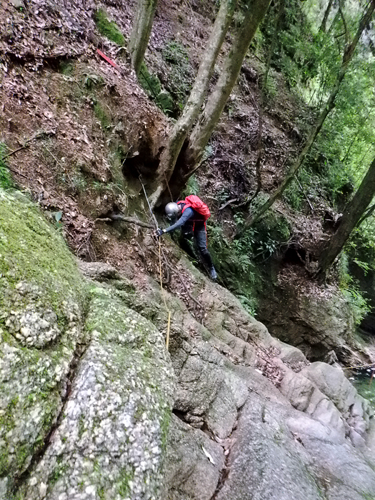 写真をクリックで拡大します