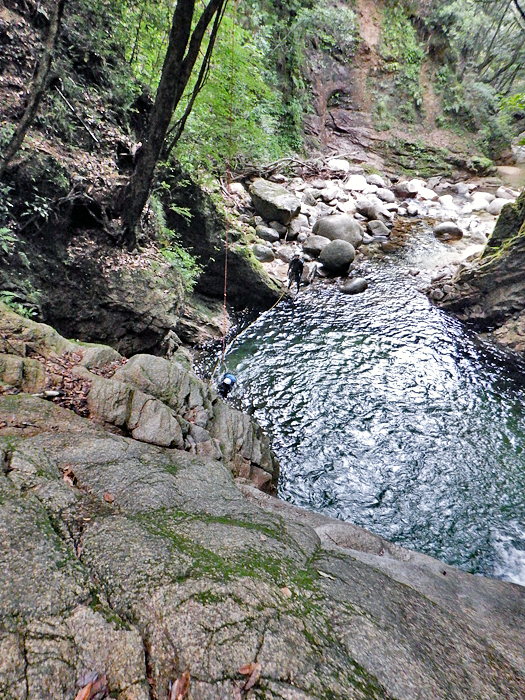 写真をクリックで拡大します