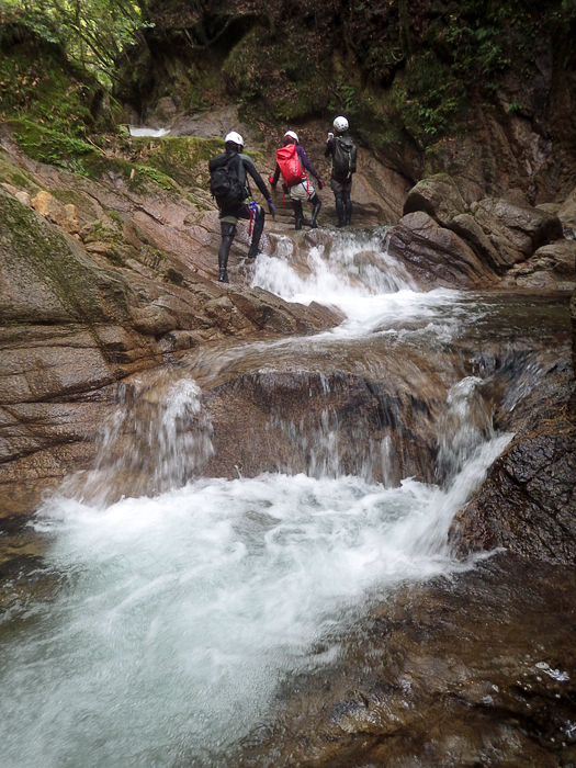 写真をクリックで拡大します