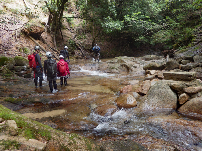 写真をクリックで拡大します