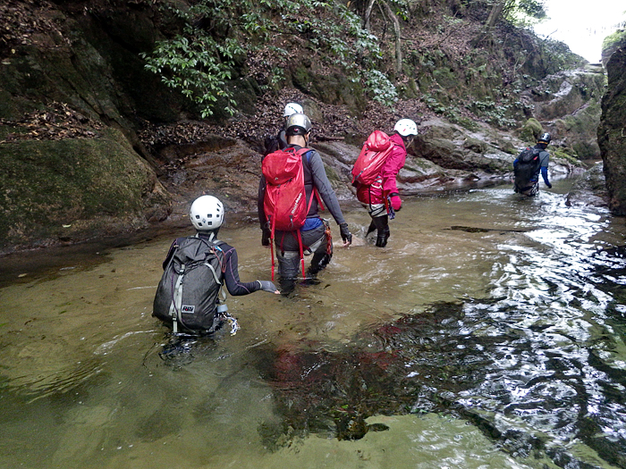 写真をクリックで拡大します