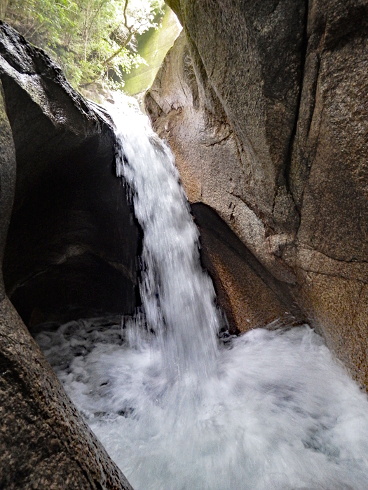 写真をクリックで拡大します