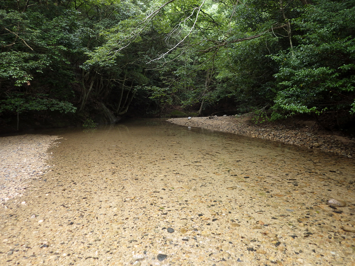 写真をクリックで拡大します