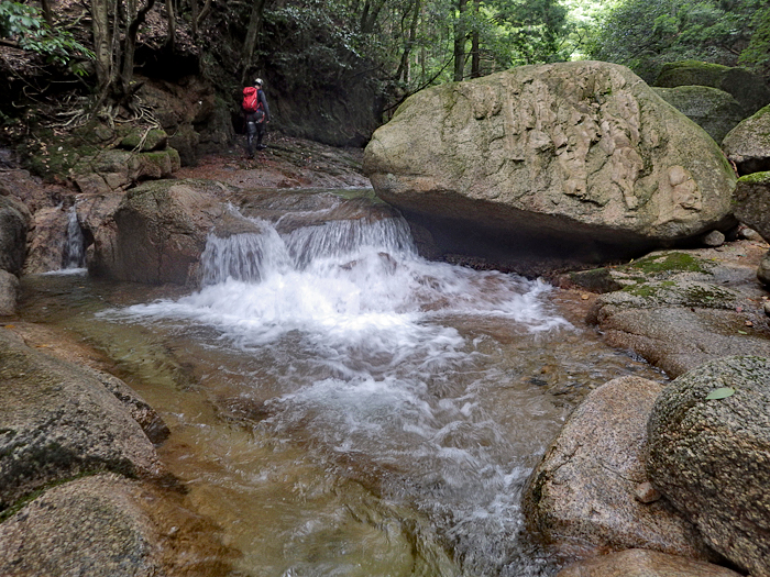 写真をクリックで拡大します