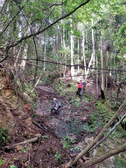 写真をクリックで拡大します