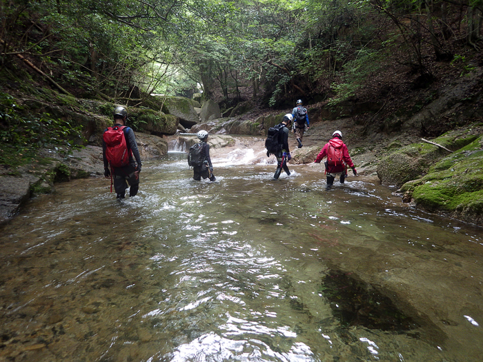 写真をクリックで拡大します