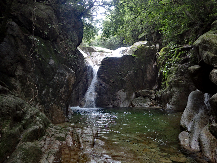 写真をクリックで拡大します