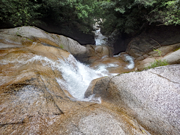 写真をクリックで拡大します