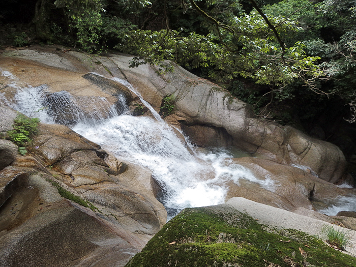 写真をクリックで拡大します