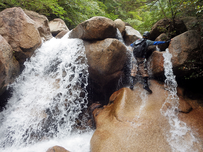 写真をクリックで拡大します