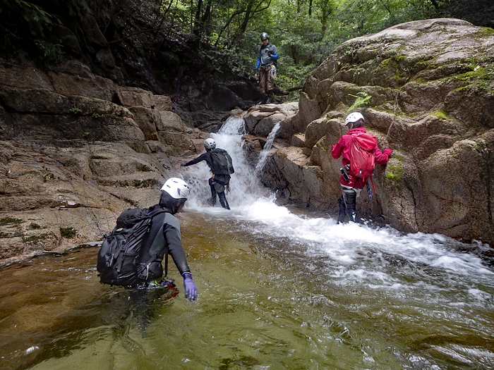 写真をクリックで拡大します