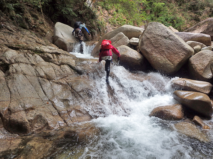 写真をクリックで拡大します
