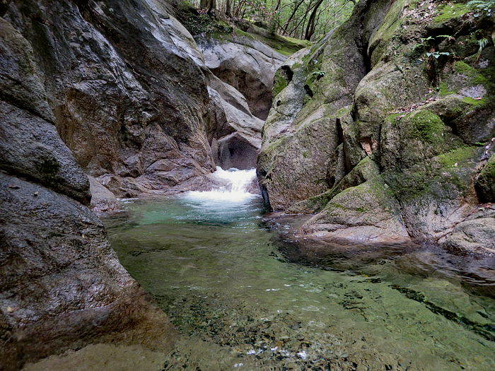 写真をクリックで拡大します